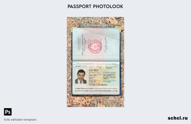 Цифровая загрузка шаблона фотографии вьетнамского паспорта
